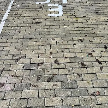 Mor Maison City-center Few Free Private Parking