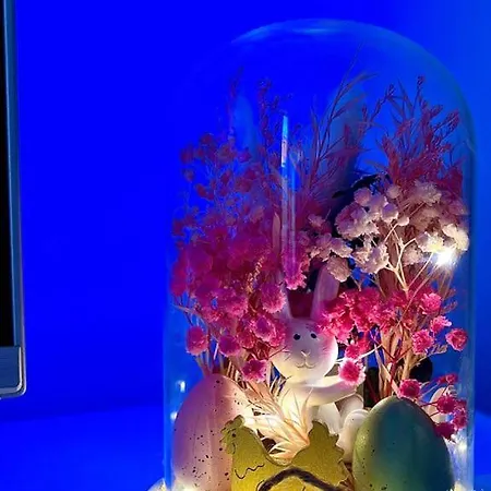 Apartment Mor Maison City-center Few Free Private Parking *