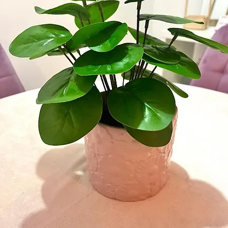 Apartment Mor Maison City-center Few Free Private Parking *