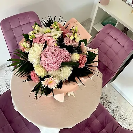 Mor Maison City-center Few Free Private Parking Apartman *