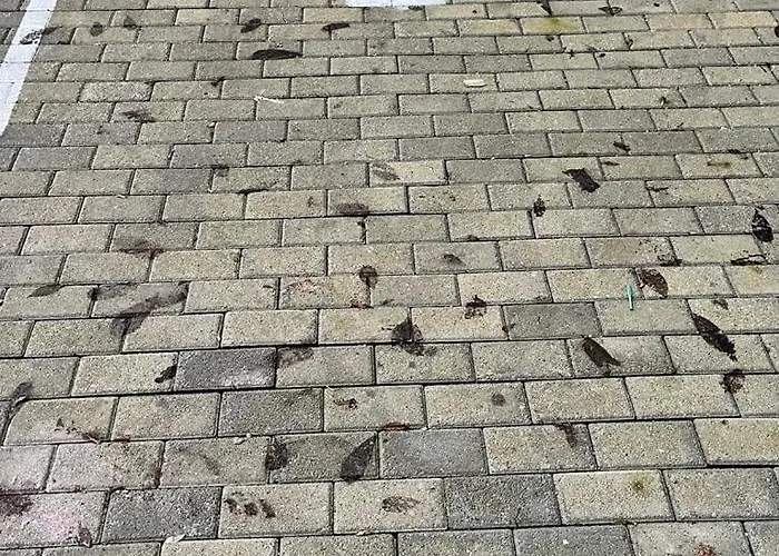 Mor Maison City-center Few Free Private Parking