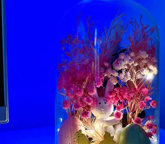 Apartment Mor Maison City-center Few Free Private Parking *