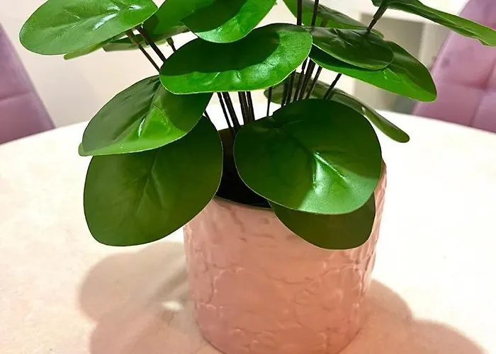 Apartment Mor Maison City-center Few Free Private Parking *