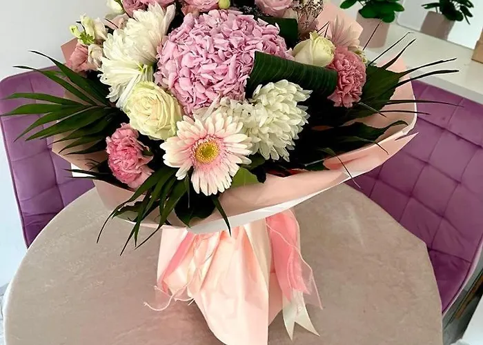 Mor Maison City-center Few Free Private Parking Appartement *