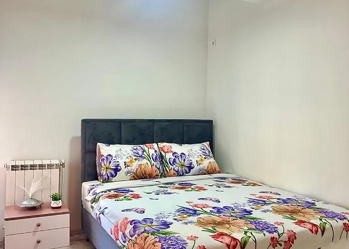 Mor Maison City-center Few Free Private Parking